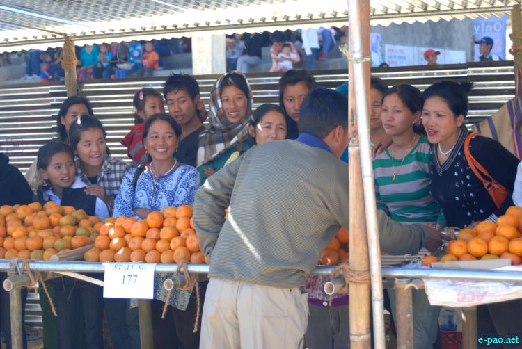 8th State Level Orange festival 2011 at Tamenglong :: 16 December 2011