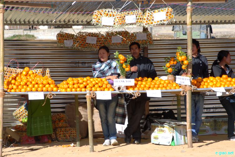 8th State Level Orange festival 2011 at Tamenglong :: 16 December 2011