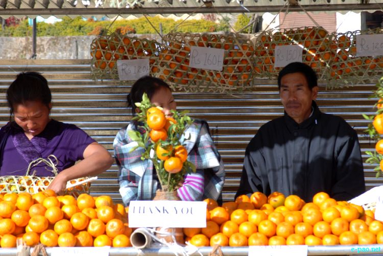 8th State Level Orange festival 2011 at Tamenglong :: 16 December 2011