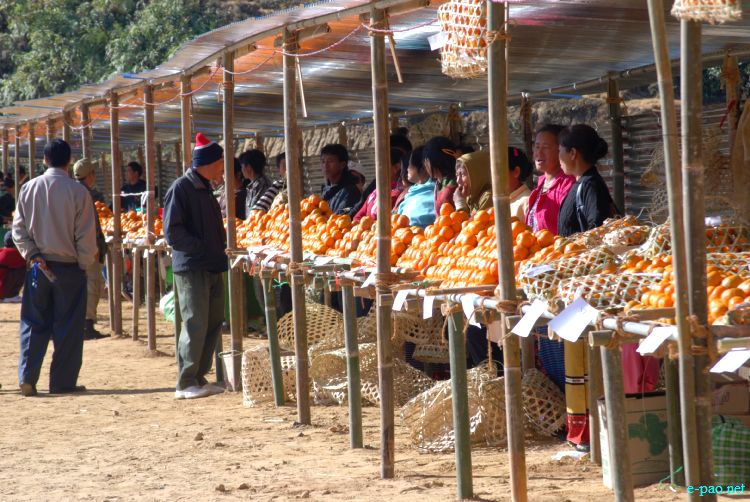 8th State Level Orange festival 2011 at Tamenglong :: 16 December 2011
