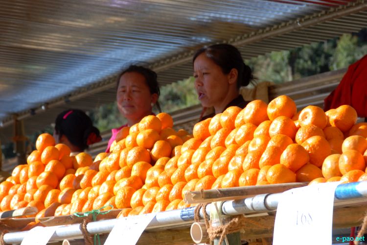 8th State Level Orange festival 2011 at Tamenglong :: 16 December 2011