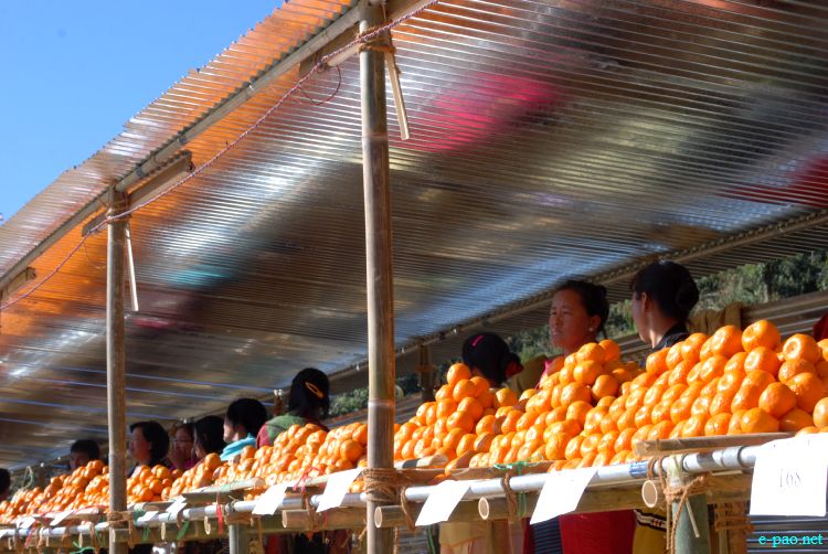 8th State Level Orange festival 2011 at Tamenglong :: 16 December 2011
