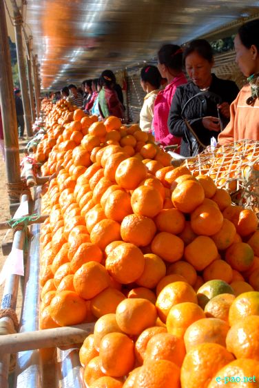 8th State Level Orange festival 2011 at Tamenglong :: 16 December 2011