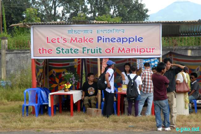 4th State Level Pineapple Festival, 2011 at Khuman Lampak complex  :: September 03 2011