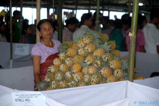4th Pineapple Festival 2011  :: July 03 2011
