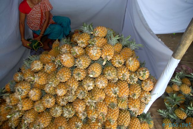 4th Pineapple Festival 2011  :: July 03 2011
