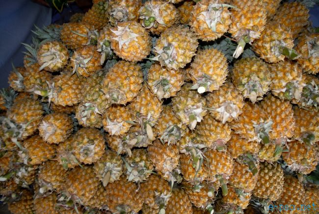 4th Pineapple Festival 2011  :: July 03 2011