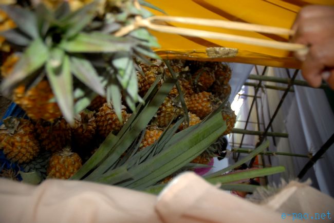 4th Pineapple Festival 2011  :: July 03 2011