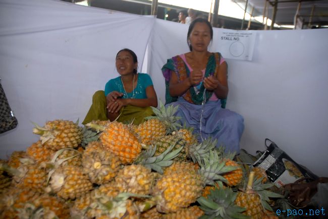 4th Pineapple Festival 2011  :: July 03 2011