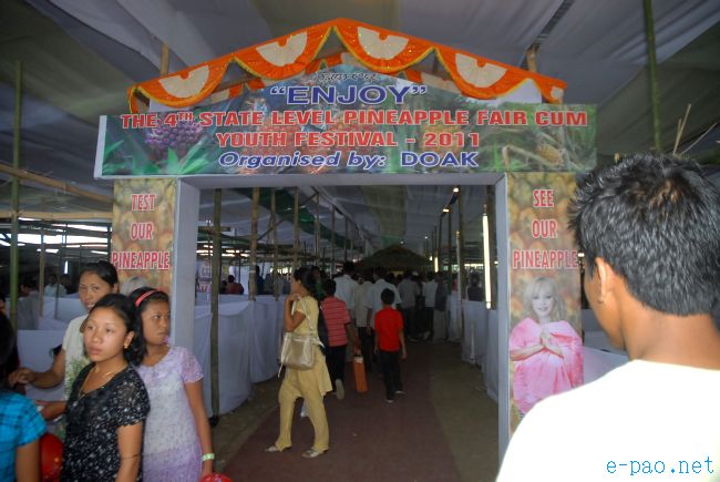 4th Pineapple Festival 2011  :: July 03 2011