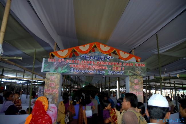 4th Pineapple Festival 2011  :: July 03 2011