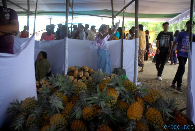 4th Pineapple Festival 2011  :: July 03 2011