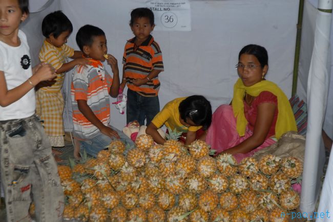 4th Pineapple Festival 2011  :: July 03 2011