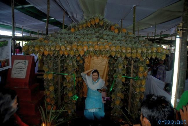 4th Pineapple Festival 2011  :: July 03 2011
