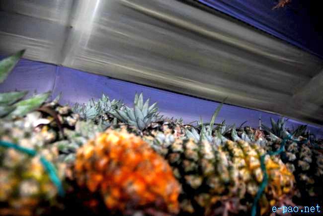 4th Pineapple Festival 2011  :: July 03 2011