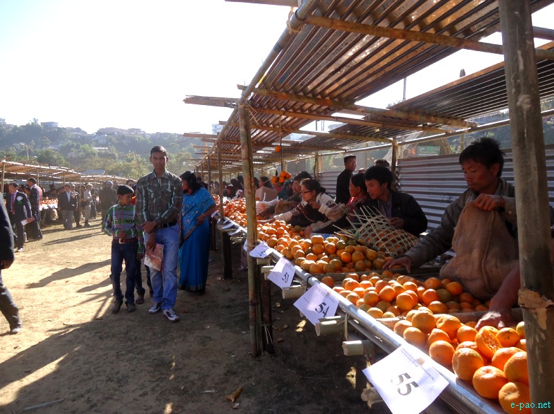 9th State Level Orange festival 2012 at Tamenglong :: 18 December 2012
