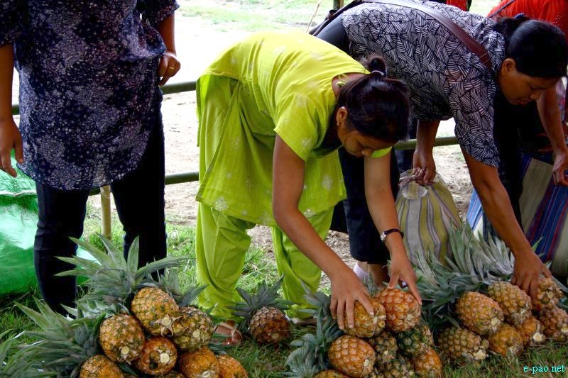 5th Manipur Pineapple Festival 2012 at Sendra Craft and Mela Ground, Bishnupur District :: August 31 2012