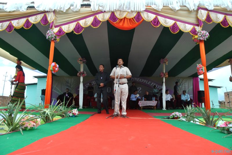 5th Manipur Pineapple Festival 2012 at Sendra Craft and Mela Ground, Bishnupur District :: August 31 2012