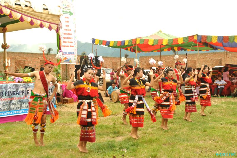 5th Manipur Pineapple Festival 2012 at Sendra Craft and Mela Ground, Bishnupur District :: August 31 2012