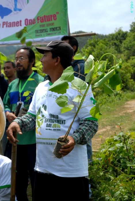 Tree Plantation - 2nd edition of Mother Earth Memorial Month :: May 17 2010