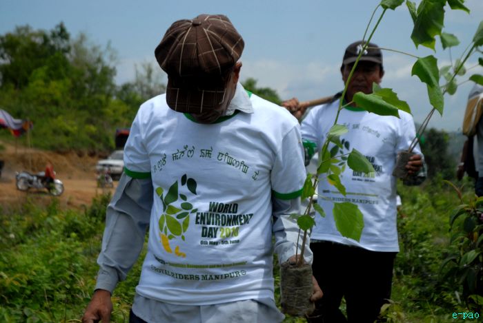 Tree Plantation - 2nd edition of Mother Earth Memorial Month :: May 17 2010