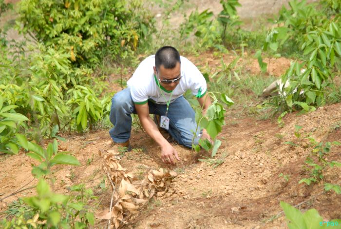Tree Plantation - 2nd edition of Mother Earth Memorial Month :: May 17 2010