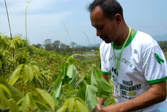 Tree Plantation - 2nd edition of Mother Earth Memorial Month :: May 17 2010