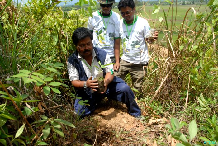 Tree Plantation - 2nd edition of Mother Earth Memorial Month :: May 17 2010