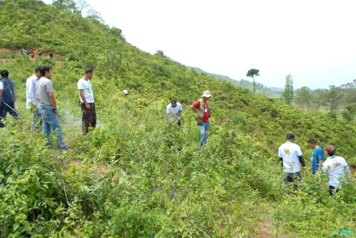 Tree Plantation - 2nd edition of Mother Earth Memorial Month :: May 17 2010