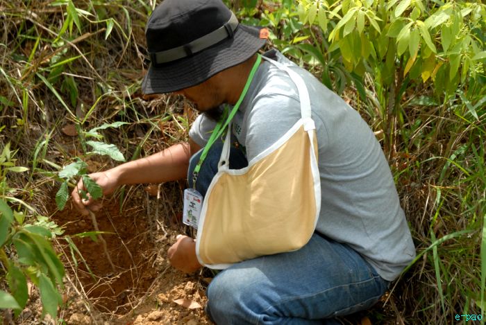 Tree Plantation - 2nd edition of Mother Earth Memorial Month :: May 17 2010