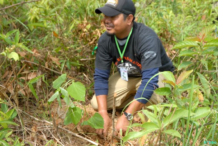 Tree Plantation - 2nd edition of Mother Earth Memorial Month :: May 17 2010