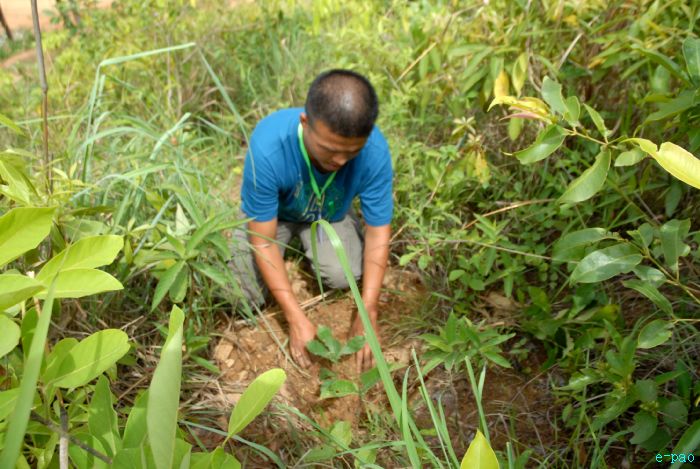 Tree Plantation - 2nd edition of Mother Earth Memorial Month :: May 17 2010