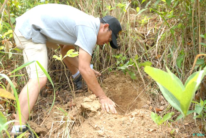 Tree Plantation - 2nd edition of Mother Earth Memorial Month :: May 17 2010