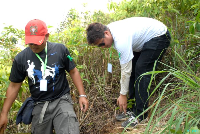 Tree Plantation - 2nd edition of Mother Earth Memorial Month :: May 17 2010
