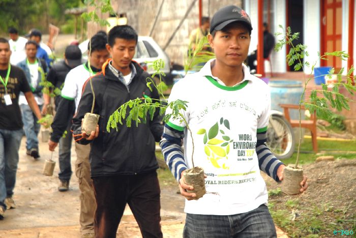 Tree Plantation - 2nd edition of Mother Earth Memorial Month :: May 17 2010