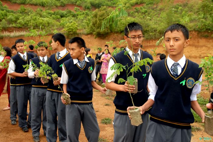 Tree Plantation - 2nd edition of Mother Earth Memorial Month :: May 17 2010