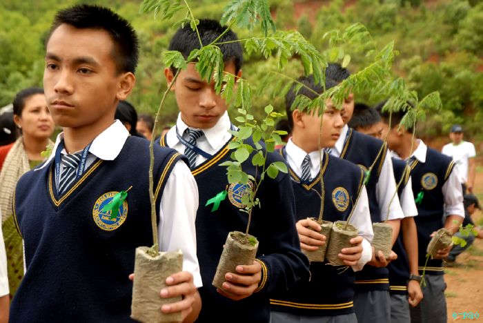 Tree Plantation - 2nd edition of Mother Earth Memorial Month :: May 17 2010