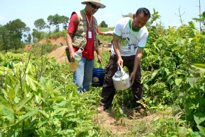 Tree Plantation - 2nd edition of Mother Earth Memorial Month :: May 17 2010