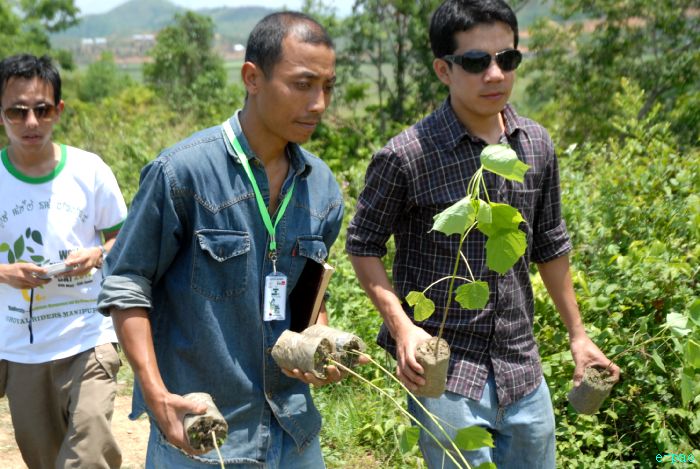 Tree Plantation - 2nd edition of Mother Earth Memorial Month :: May 17 2010