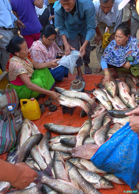 Fish Fair and Fish Crop Competition 2011 at Hatta Kangjeibung :: 27 October 2011