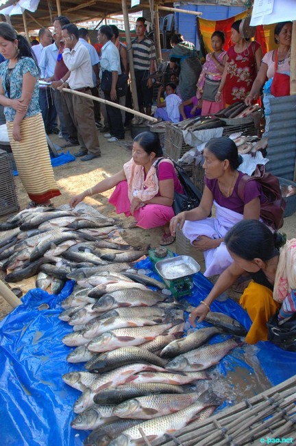 Fish Fair and Fish Crop Competition 2011 at Hatta Kangjeibung :: 27 October 2011