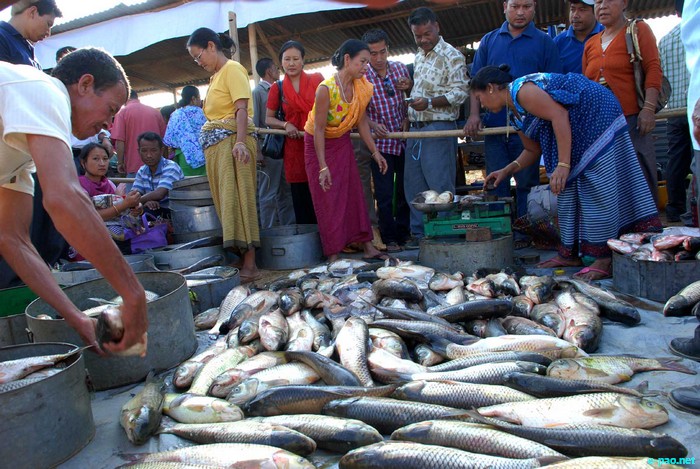 Fish Fair and Fish Crop Competition 2011 at Hatta Kangjeibung :: 27 October 2011