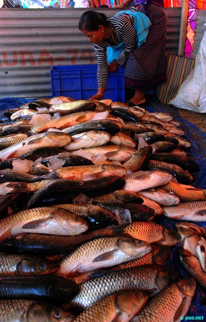 Fish Fair and Fish Crop Competition 2011 at Hatta Kangjeibung :: 27 October 2011