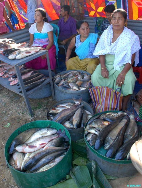 Fish Fair and Fish Crop Competition 2011 at Hatta Kangjeibung :: 27 October 2011