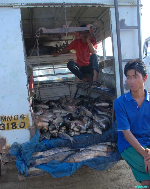 Fish Fair and Fish Crop Competition 2011 at Hatta Kangjeibung :: 27 October 2011