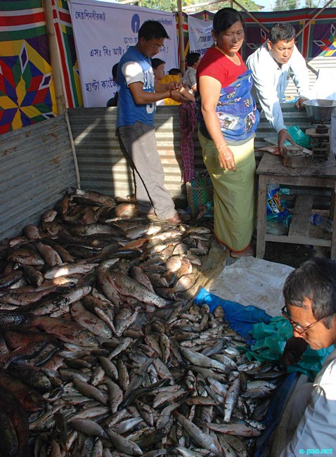 Fish Fair and Fish Crop Competition 2011 at Hatta Kangjeibung :: 27 October 2011