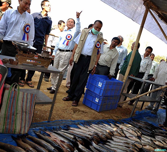 Fish Fair and Fish Crop Competition 2011 at Hatta Kangjeibung :: 27 October 2011