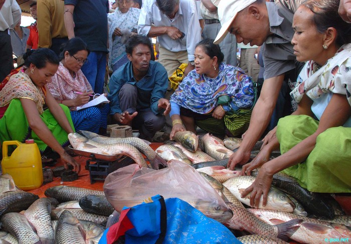 Fish Fair and Fish Crop Competition 2011 at Hatta Kangjeibung :: 27 October 2011