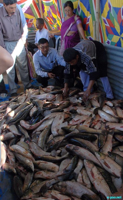Fish Fair and Fish Crop Competition 2011 at Hatta Kangjeibung :: 27 October 2011