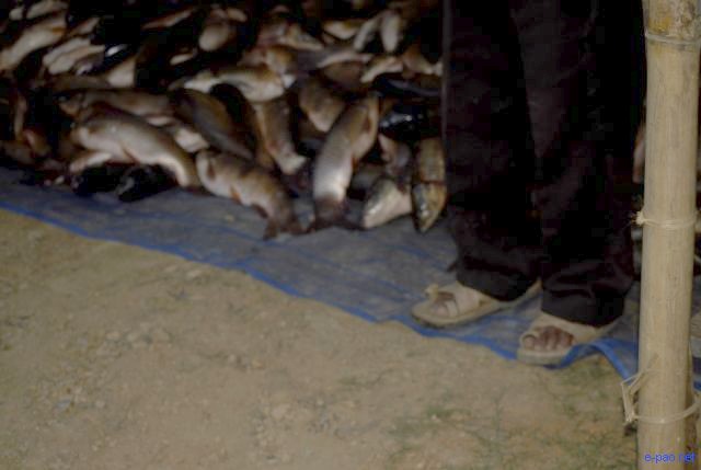 Fish Fair and Fish Crop Competition 2011 at Hatta Kangjeibung :: 27 October 2011